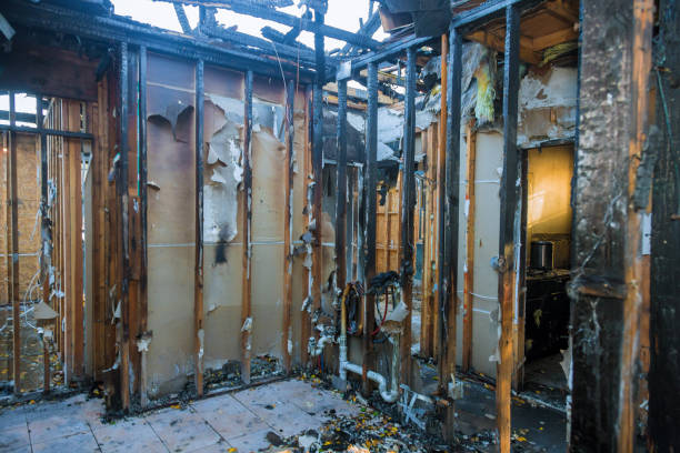 Professional Fire Damage Removal technician working in Maple Lake, MN